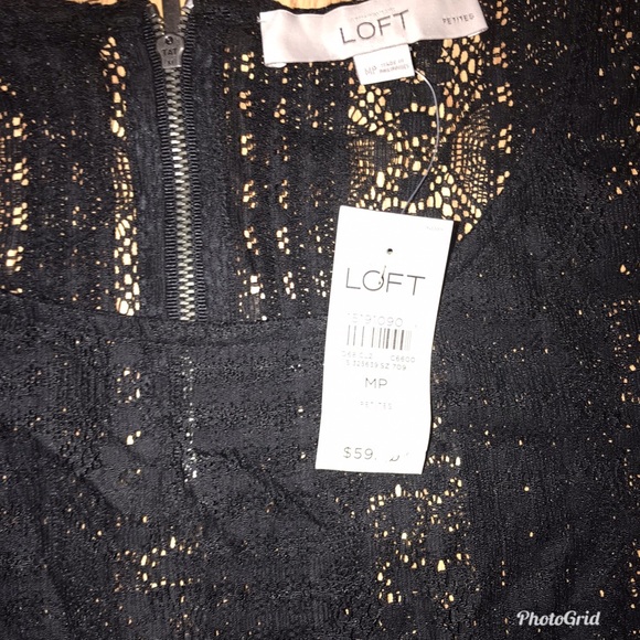 Ann Taylor Loft Petite Lace Stretch Blouse - Picture 6 of 6